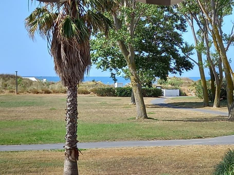Amouvera C14, T2 Vue Mer, Piscine, Clim, Parking Agde Eksteriør bilde