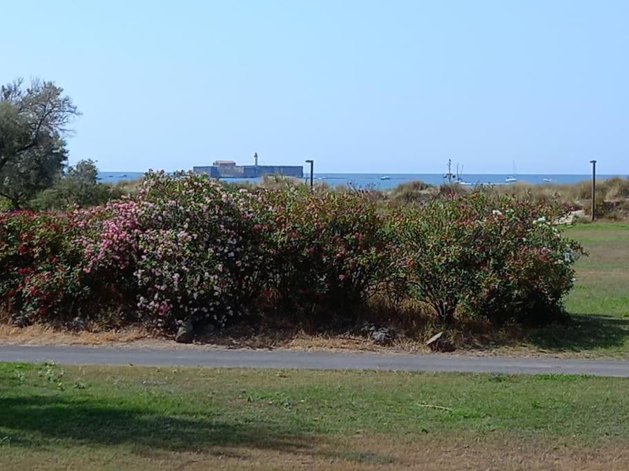 Amouvera C14, T2 Vue Mer, Piscine, Clim, Parking Agde Eksteriør bilde